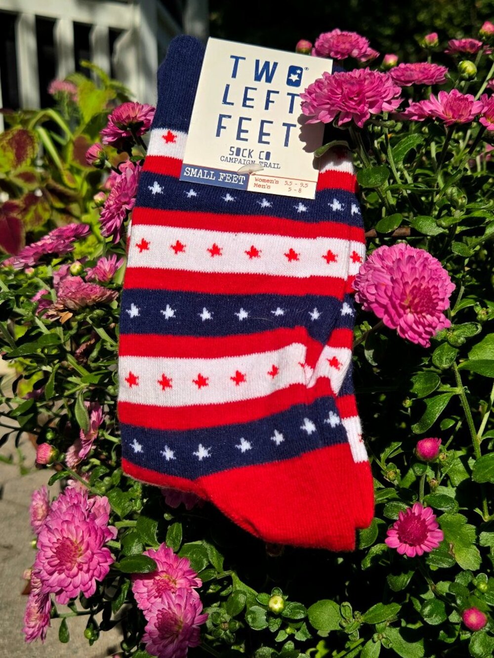 Two Left Feet Co. Patriotic Red White Blue Stars Campaign Trail Socks Small Feet